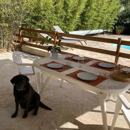 Apartment Superbe T2 Dans Entre Calanques Et Colline Marseille